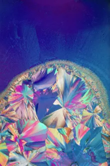 Polarised Light Micrograph Drucke: Progesterone hormone