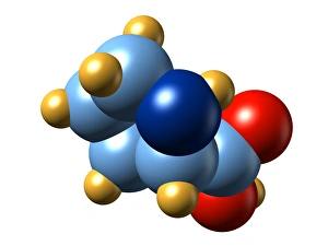 Amino Acid Structure Drucke: Proline, molecular model