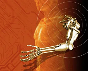 Bilder Datiert 2008: Künstlerische Roboterarmprothese