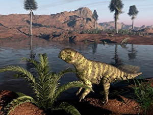 Drucke von Psittazauruser Dinosaurus. Computerart von einem Psittazuruser, der einen Cycad zu sich nehmen wird 130 Millionen Jahre vorher während des Juraepochen in dem heutigen Zentralasien Bilder Datiert 2011 August: Psittakosaurus-Dinosaur, Kunstwerk