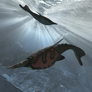 Bilder Datiert 19. Dezember 2012: Fossilfisch Pteraspis, Kunstwerk aus der Steinzeit
