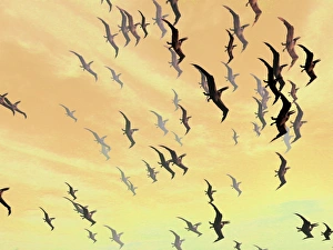 Cretaceous Period Creatures Drucke: Pterosaurs
