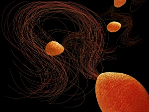 Bilder Datiert 2012 Mai: Pyrococcus furiosus archäologische Kunstwerk