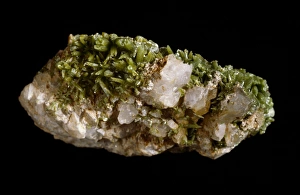 Natural History Museum London Collection Drucke: Pyromorphite C016 / 6089