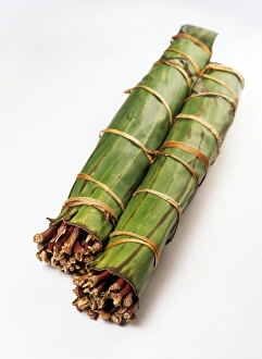 Drucke von Qatah. Die Stöcke der äthiopischen Khatpflanze (Catha edulis). Die Stöcke werden mit Bananblättern umwickelt, um ihre Frische zu erhalten Bilder Datiert 2004 Mai: Kakao Stöcke