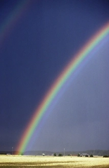Nature Scenery Photo Drucke: Rainbow over a field