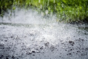 Devon UK Landscape Drucke: Raindrops falling on water