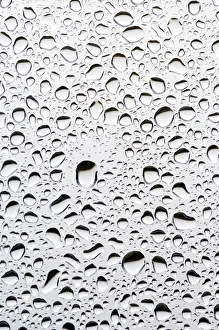 Window Pane Raindrops Drucke: Raindrops on a window pane