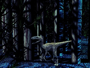 Carnivorous Dinosaurs Drucke: Raptor dinosaur