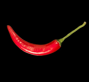 Bilder vom 12. August 2009: Rote Paprika