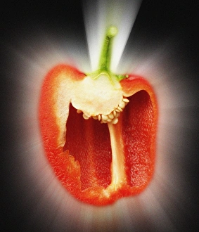 Capsicum Annuum Nutrition Drucke: Red pepper