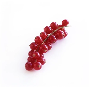 Red Currants Drucke: Redcurrants