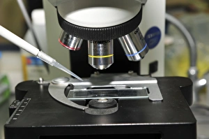 Scientific Research Tools Drucke: Research Laboratory