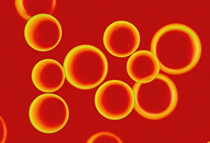 Harz wird für die festphasigen Peptid-Synthese verwendet