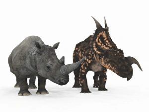 Bilder Datiert 5. April 2011: Rhinoceros und Einiosaurus-Dinosaurier