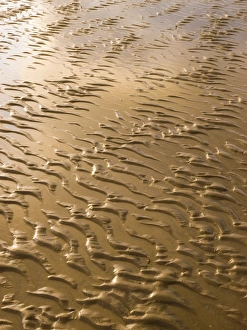 Coastal Erosion Images Drucke: Rippled sand in regular pattern