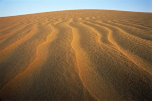 Empty Quarter UAE Drucke: Ripples in sand