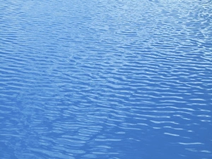 Water Ripple Effect Drucke: Ripples in a swimming pool