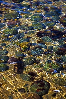 Water Ripple Effect Drucke: Ripples on water