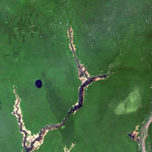 Democratic Republic Of Congo Drucke: River Congo in forest