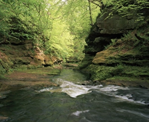 Valley Landscape Drucke: River