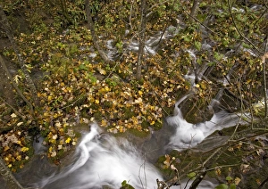 October Landscape Photography Drucke: River flowing over travertine