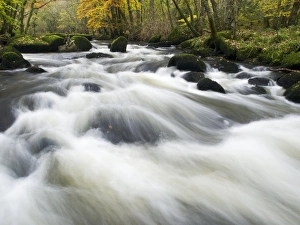 Devon UK Landscape Drucke: River Teign in autumn, Devon