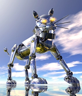 Bilder Datiert 2012 April: Roboter Katze