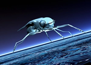 Robotische Fliege, Kunstwerk