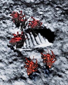 Lunar Surface Exploration Drucke: Robots on the Moon