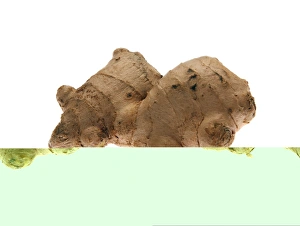 Zingiber Officinale Drucke: Root ginger C014 / 1250