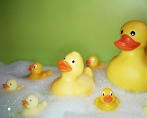 Drucke von Gummibäusche verschiedener Größen und Arten im schaumigen Bad Bilder Datiert 2003 Februar: Kuschelentüten