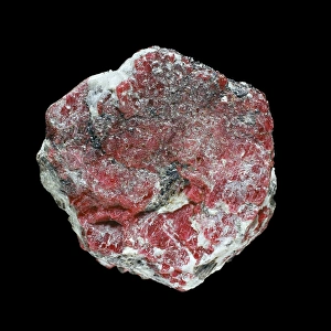 Natural History Museum London UK Drucke: Ruby C016 / 5626
