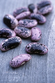 Vegetable Garden Photos Drucke: Runner beans (Phaseolus Scarlet Runner )