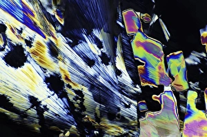Polarised Light Microscopy Drucke: Saccharin crystals, light micrograph