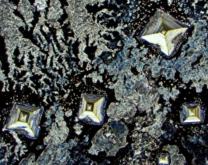 Light Micrograph Drucke: Salt crystals, light micrograph