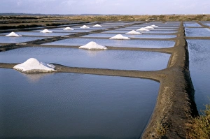 Sea Salt Production Drucke: Salt pans
