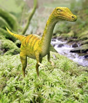 Drucke von Saltopus. Computerart von einem Saltopus-Dinosaurier vor einem Bach Bilder Datiert 2007 Oktober: Saltopus