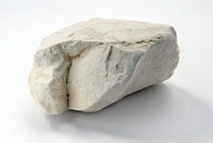 Sedimentary Rock Formation Drucke: Sample of chalk