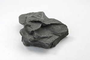 Calcium Carbonate Fossils Drucke: Sample of shale