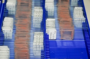 Laboratory Equipment Photos Drucke: Sample Sides in a lab