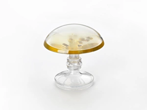Royal Institution London Drucke: Sample of sodium made by Davy C016 / 3670