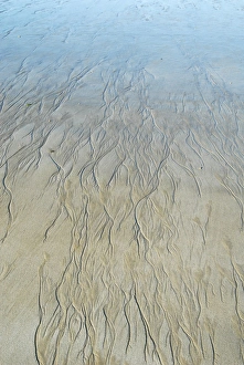 Low Tide Beach Drucke: Sand patterns