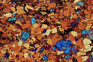 Polarisiertes Licht Drucke: Kalkstein, dünner Schnitt, polarisierter LM