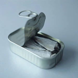 Sardines