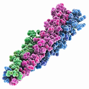 Bilder Datiert 13. März 2013: SARs-Virus-Oberflächenproteinmolekül