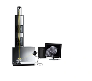Electron Microscopy Images Drucke: Scanning electron microscope, artwork