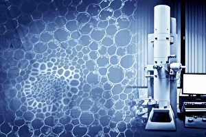 Scanning Electron Microscope Drucke: Scanning electron microscope, artwork C014 / 4625