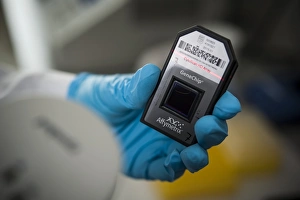 S scanning genetisches Mikroarrays C019/0286