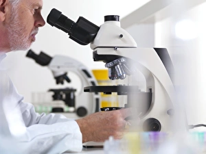 Scientific Research Methods Drucke: Scientist using a light microscope F006 / 9029